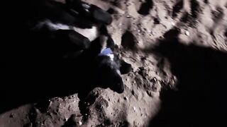 Охота за левреком в Дидиме - ночная снасть и рабочие проводки