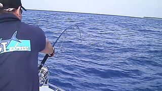 Noonu Atoll январь 2012 рыбалка по GT в тихое окно между ветрами