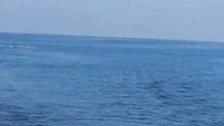 Noonu Atoll утренний выход и морская рыбалка в дрейфе по краю рифа