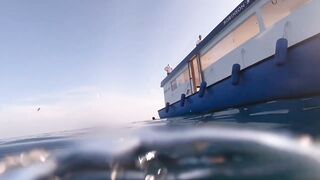 Noonu Atoll утренний выход и морская рыбалка в дрейфе по краю рифа