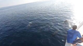 Noonu Atoll утренний выход и морская рыбалка в дрейфе по краю рифа