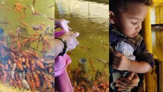 Feeding fish на рифе а рыбалка здесь вообще разрешена