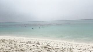 Thoddoo акулы, шок и рыбалка, снорклинг вторым номером