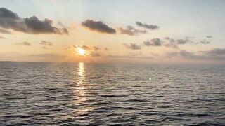 Thoddoo акулы, шок и рыбалка, снорклинг вторым номером