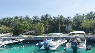 Thoddoo акулы, шок и рыбалка, снорклинг вторым номером