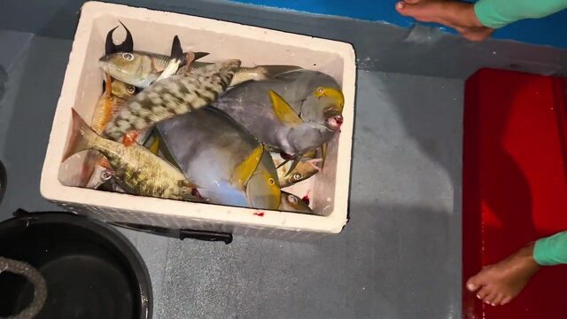 Закатный выход на дхони у Дигуры - морская рыбалка на Мальдивах