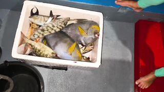 Sunset fishing Dhigurah: вечерняя рыбалка на забросе у пасса