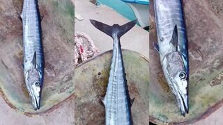 Сколько килограммов на борту и законна ли тут рыбалка у домашнего рифа