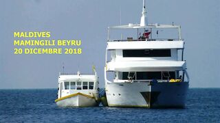 Maamigili Beyru декабрьский шторм и рыбалка только с утра до прилива