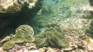 Maamigili Beyru декабрьский шторм и рыбалка только с утра до прилива