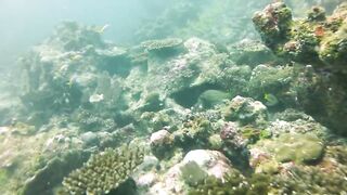 Maamigili Beyru декабрьский шторм и рыбалка только с утра до прилива