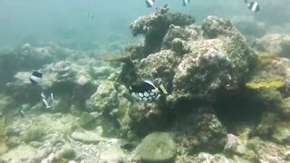 Maamigili Beyru декабрьский шторм и рыбалка только с утра до прилива