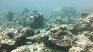 Maamigili Beyru декабрьский шторм и рыбалка только с утра до прилива