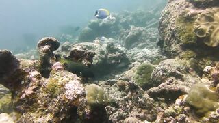 Maamigili Beyru декабрьский шторм и рыбалка только с утра до прилива