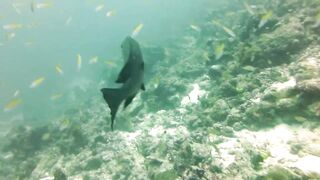 Maamigili Beyru декабрьский шторм и рыбалка только с утра до прилива