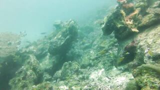 Maamigili Beyru декабрьский шторм и рыбалка только с утра до прилива