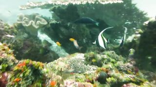 Maamigili Beyru декабрьский шторм и рыбалка только с утра до прилива