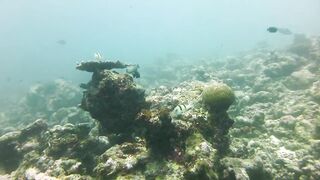 Maamigili Beyru декабрьский шторм и рыбалка только с утра до прилива