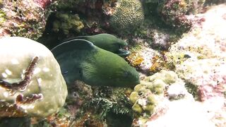 Maamigili Beyru декабрьский шторм и рыбалка только с утра до прилива