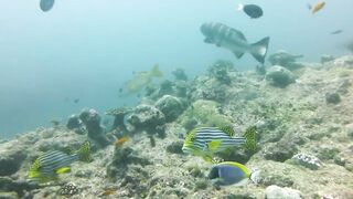 Maamigili Beyru декабрьский шторм и рыбалка только с утра до прилива