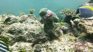 Maamigili Beyru декабрьский шторм и рыбалка только с утра до прилива