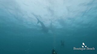 Maamigili Beyru и Aryadoo Caves: где морская рыбалка на границе течений?