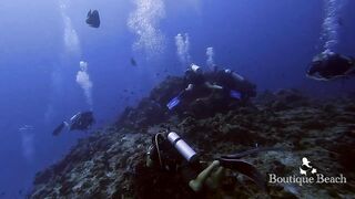 Maamigili Beyru и Aryadoo Caves: где морская рыбалка на границе течений?