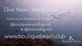 Maamigili Beyru и Aryadoo Caves: где морская рыбалка на границе течений?