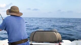 Fulidhoo, утренний свал у пирса и морская рыбалка в проливе