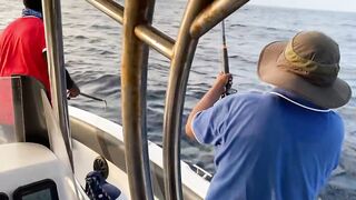 Fulidhoo, утренний свал у пирса и морская рыбалка в проливе