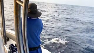 Fulidhoo, утренний свал у пирса и морская рыбалка в проливе