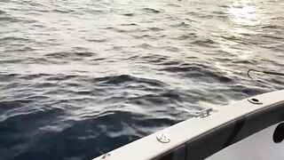 Fulidhoo, утренний свал у пирса и морская рыбалка в проливе