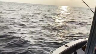 Fulidhoo, утренний свал у пирса и морская рыбалка в проливе