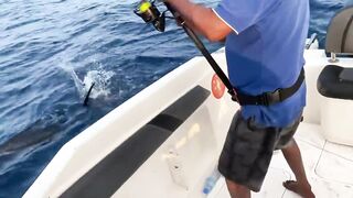 Fulidhoo, утренний свал у пирса и морская рыбалка в проливе