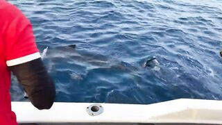 Fulidhoo, утренний свал у пирса и морская рыбалка в проливе