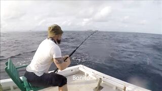 Fulidhoo морская рыбалка у пирса на заре и короткая сессия в пассе