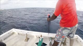 Fulidhoo морская рыбалка у пирса на заре и короткая сессия в пассе