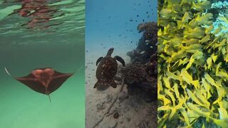 Fulidhoo и Dhigurah, подводный риф и где тут рыбалка с берега