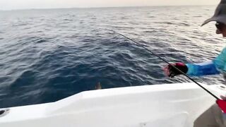 Fulidhoo магазин снастей и вечерняя рыбалка у пирса