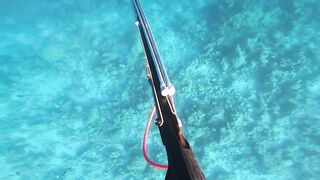 Fohtheyomuli Meemu: подводная охота и морская рыбалка на гряде?