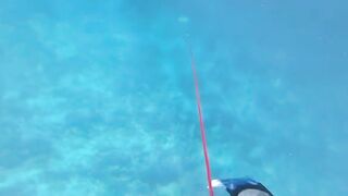 Fohtheyomuli Meemu: подводная охота и морская рыбалка на гряде?