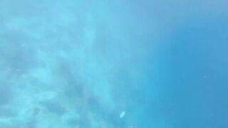 Fohtheyomuli Meemu: подводная охота и морская рыбалка на гряде?