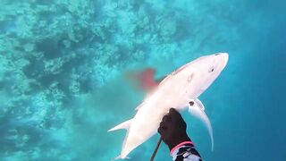 Fohtheyomuli Meemu: подводная охота и морская рыбалка на гряде?