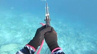 Fohtheyomuli Meemu: подводная охота и морская рыбалка на гряде?