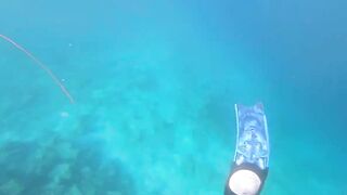 Fohtheyomuli Meemu: подводная охота и морская рыбалка на гряде?