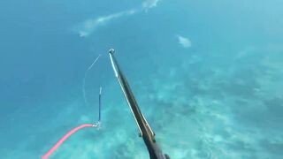 Fohtheyomuli Meemu: подводная охота и морская рыбалка на гряде?