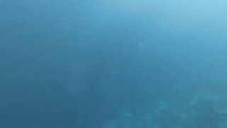 Fohtheyomuli Meemu: подводная охота и морская рыбалка на гряде?