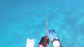 Fohtheyomuli Meemu: подводная охота и морская рыбалка на гряде?