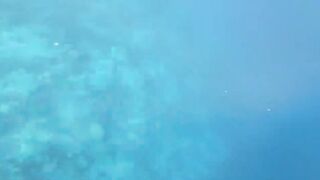 Fohtheyomuli Meemu: подводная охота и морская рыбалка на гряде?