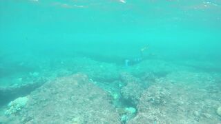 Muli Masverin Trip 2016 что с клёвом на рифе у Medhufushi?